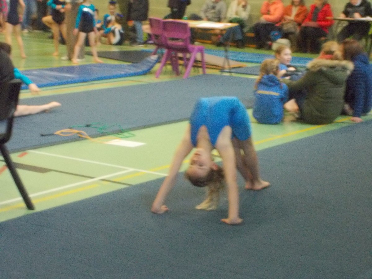 Key Steps Gymnastics Competition at Dallam – Levens CE School